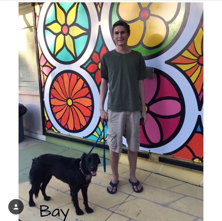 Animal Shelter Revitalizations – Portraits of Hope Animal Shelter Revitalizations – Portraits of Hope